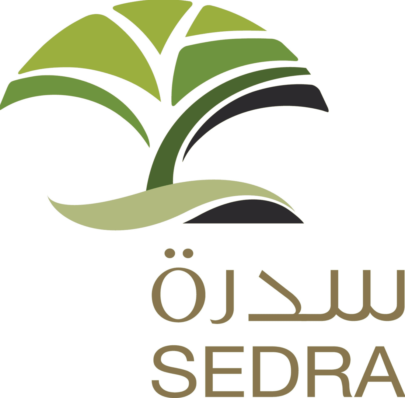 https://www.sedra.org/