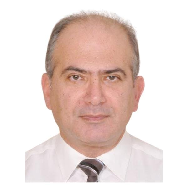 Prof. Hassib Narchi